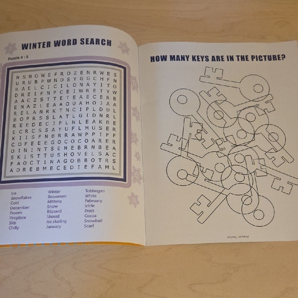 Brain Teasers & Riddles Vol. 2 - Large Print - Picture 2 of 3